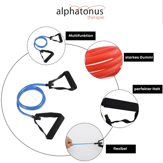 Alphatonus® - 11-Teiliges Fitness Widerstandsbänder Set